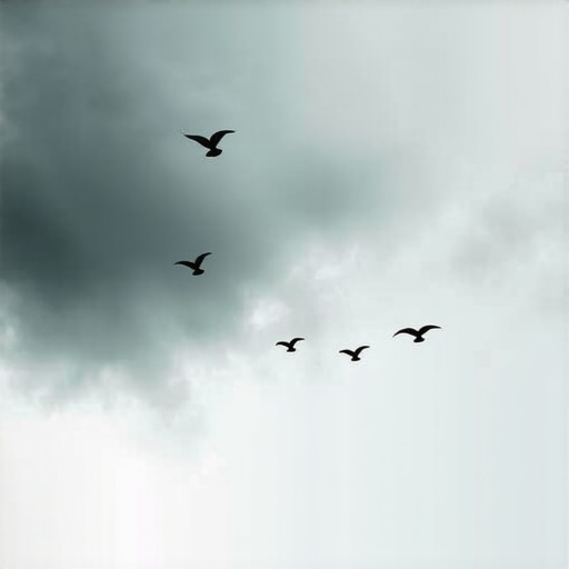 Supersticiones de clima: ¿Qué significa cuando las aves vuelan bajo?